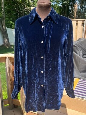 Vtg Ann Taylor Silk Blend Blue Velvet Button Down Blouse Size 6 Whimsigoth Y2K